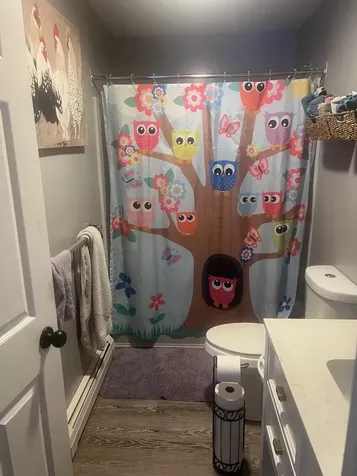 127 Minister Hill Road Wheelock VT 05851