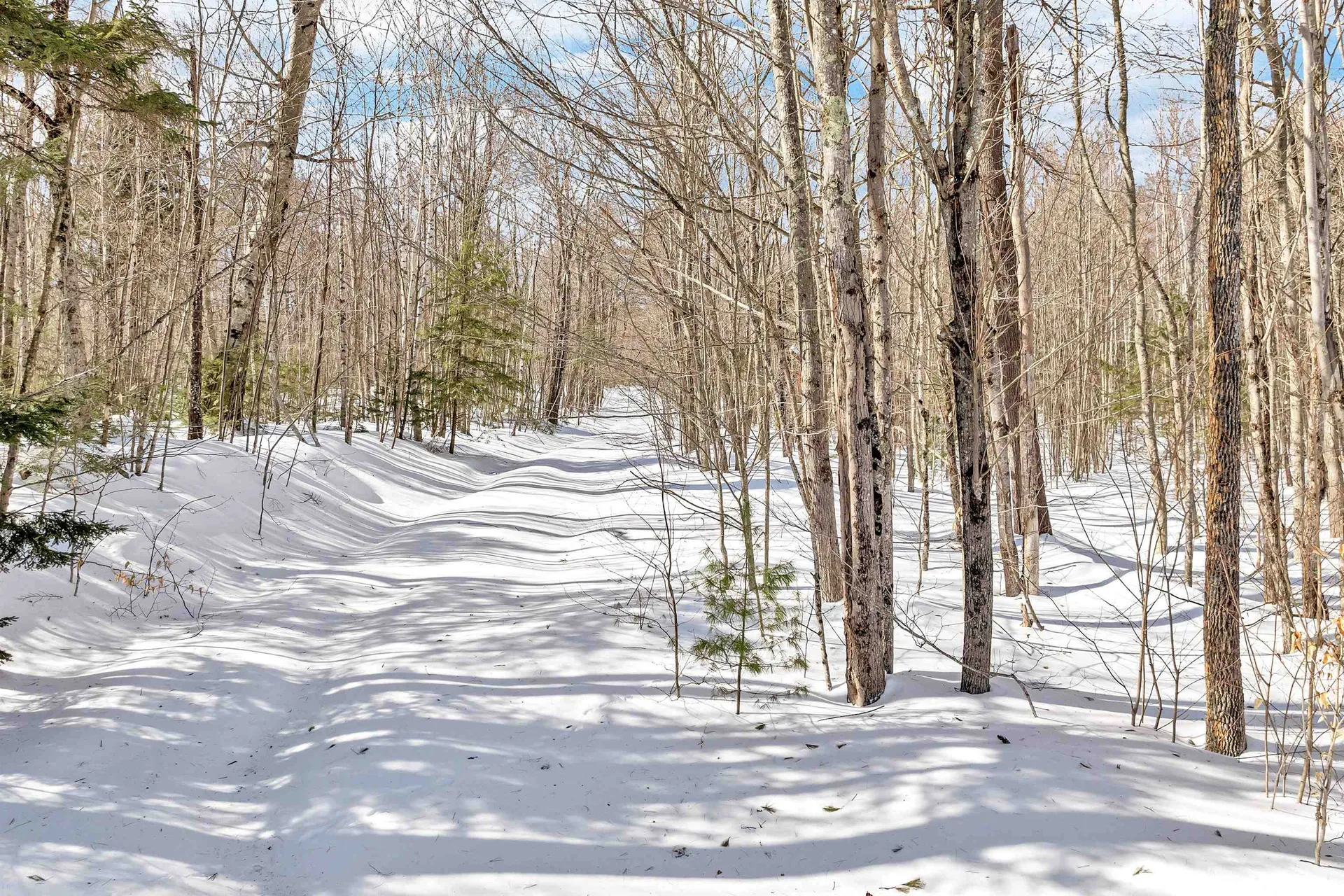 195 Browns Ridge Road Ossipee NH 03886-4