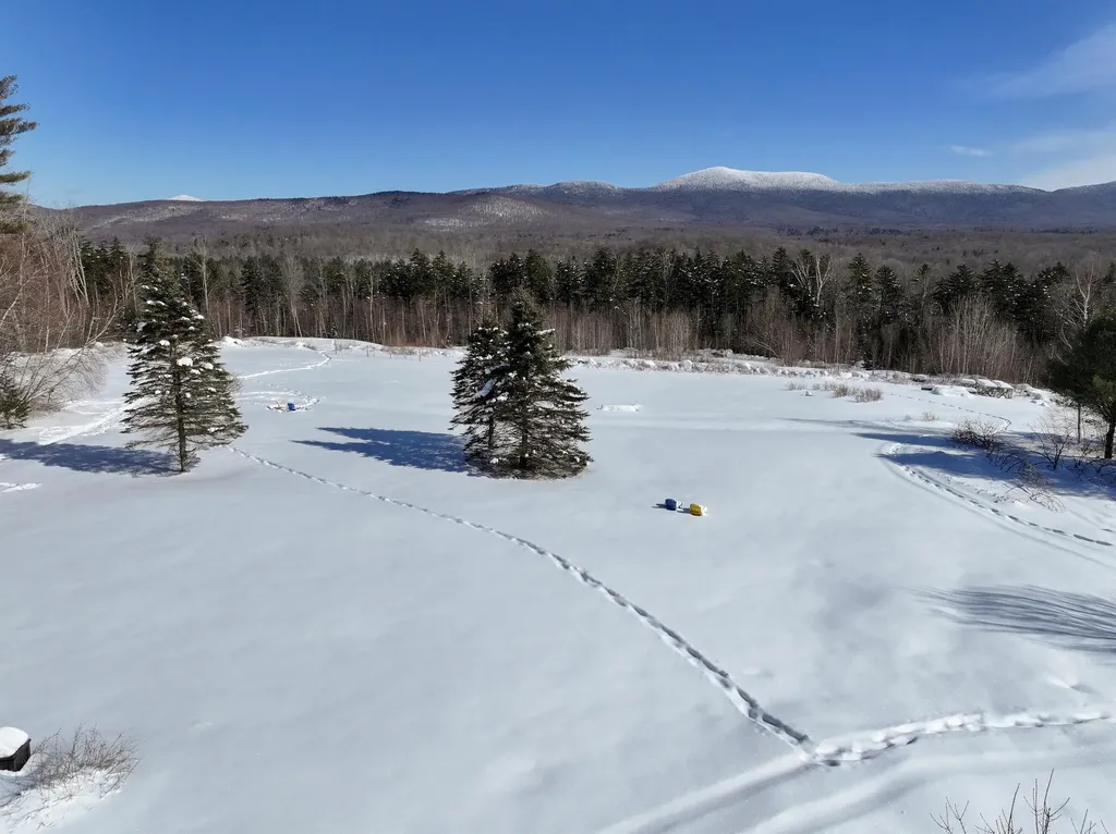 2430 North Branch Road Ripton VT 05766