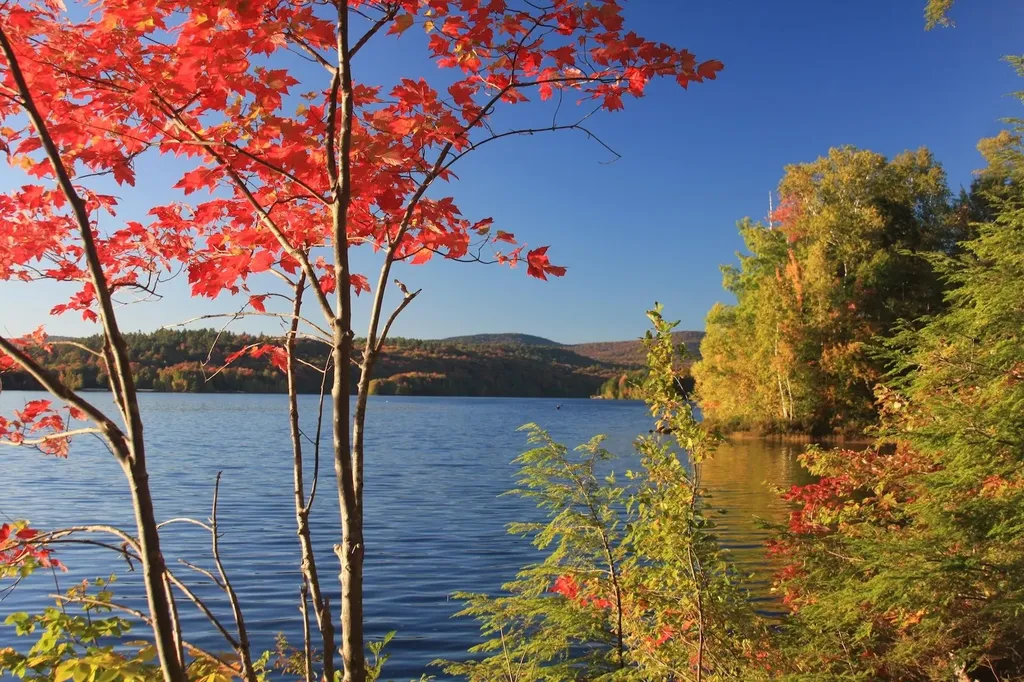 53 College Overlook Grantham NH 03753