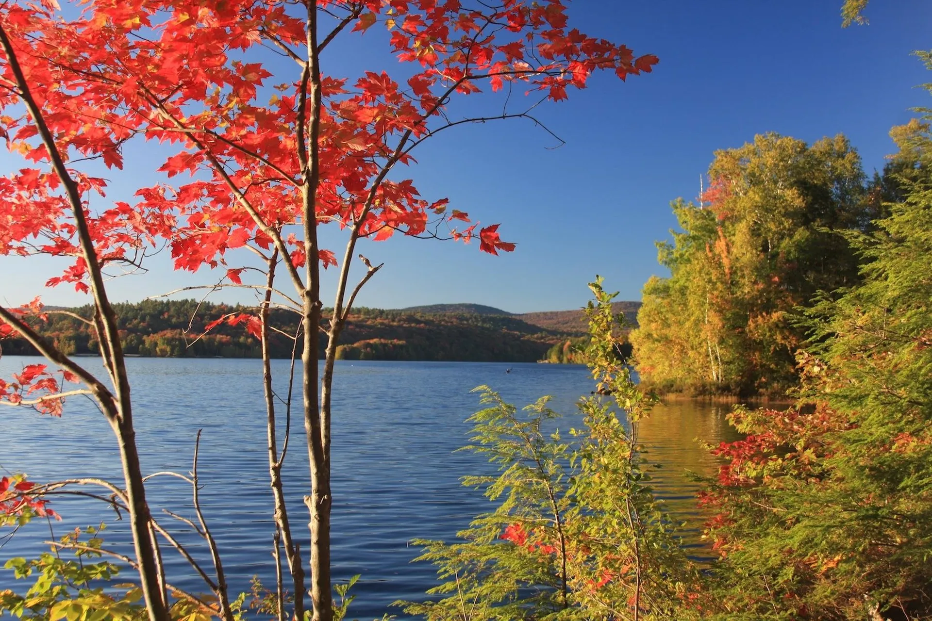 53 College Overlook Grantham NH 03753