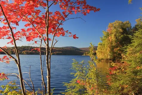 53 College Overlook Grantham NH 03753