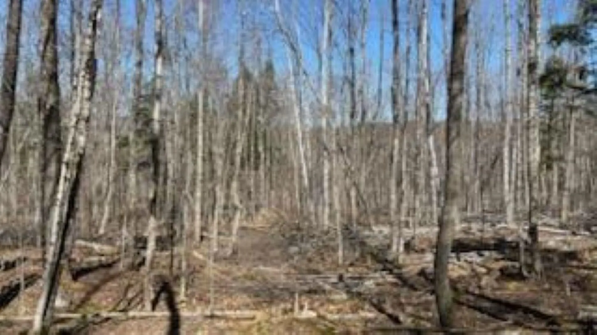 1376 Kingdom Road Plymouth VT 05056