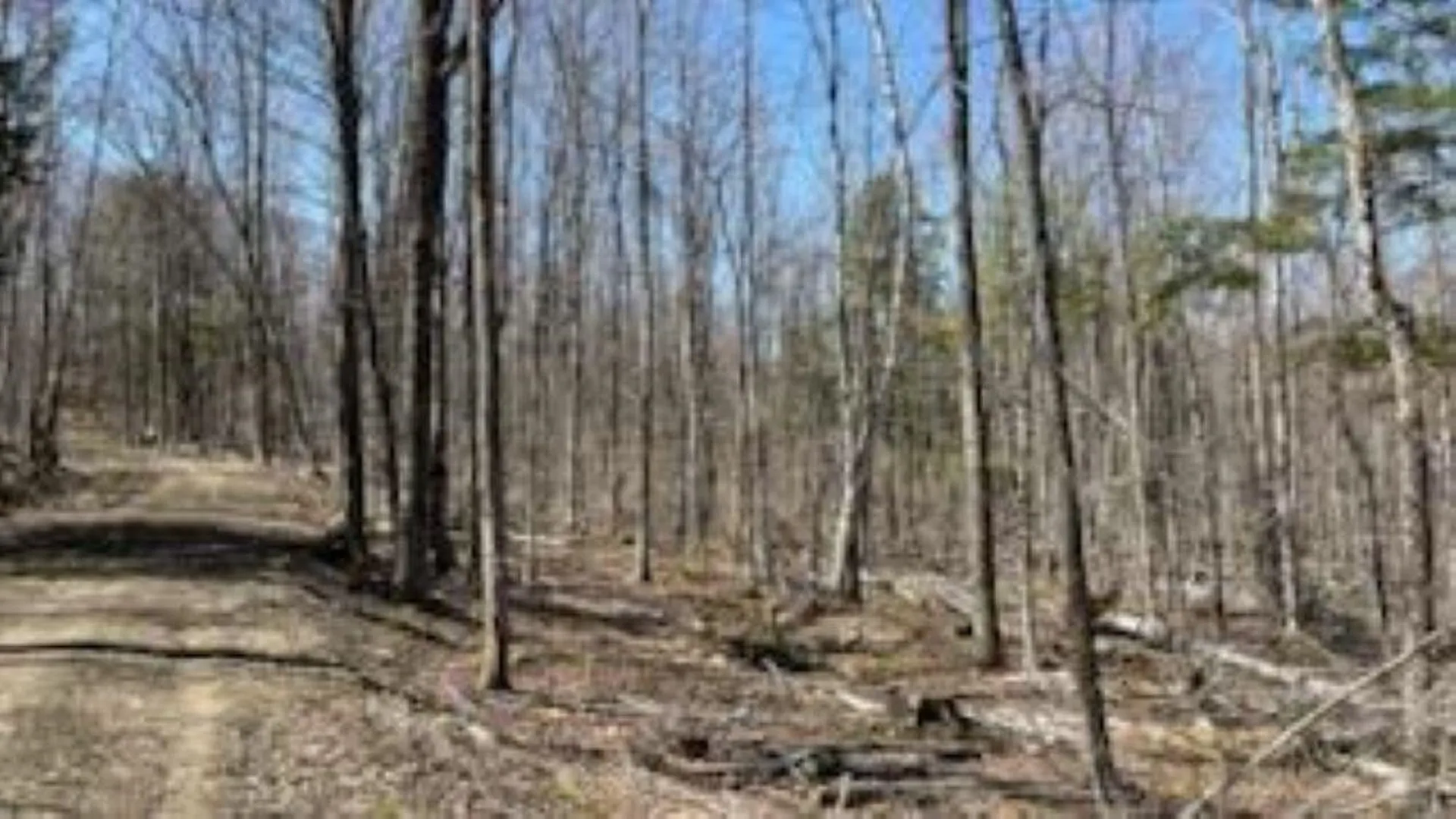 1376 Kingdom Road Plymouth VT 05056