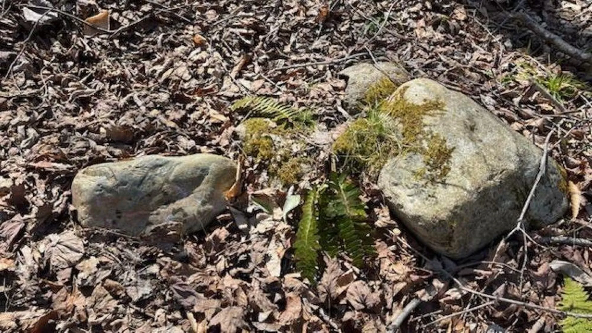 1376 Kingdom Road Plymouth VT 05056