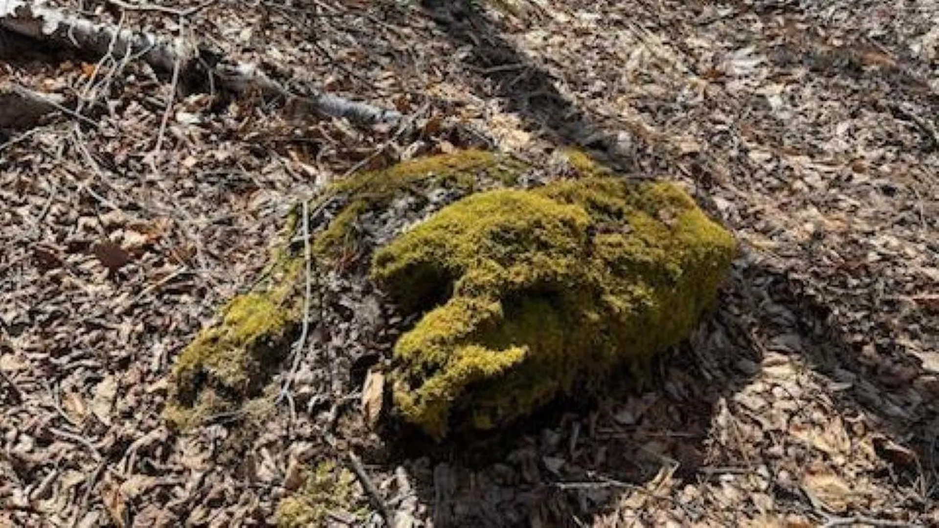 1376 Kingdom Road Plymouth VT 05056