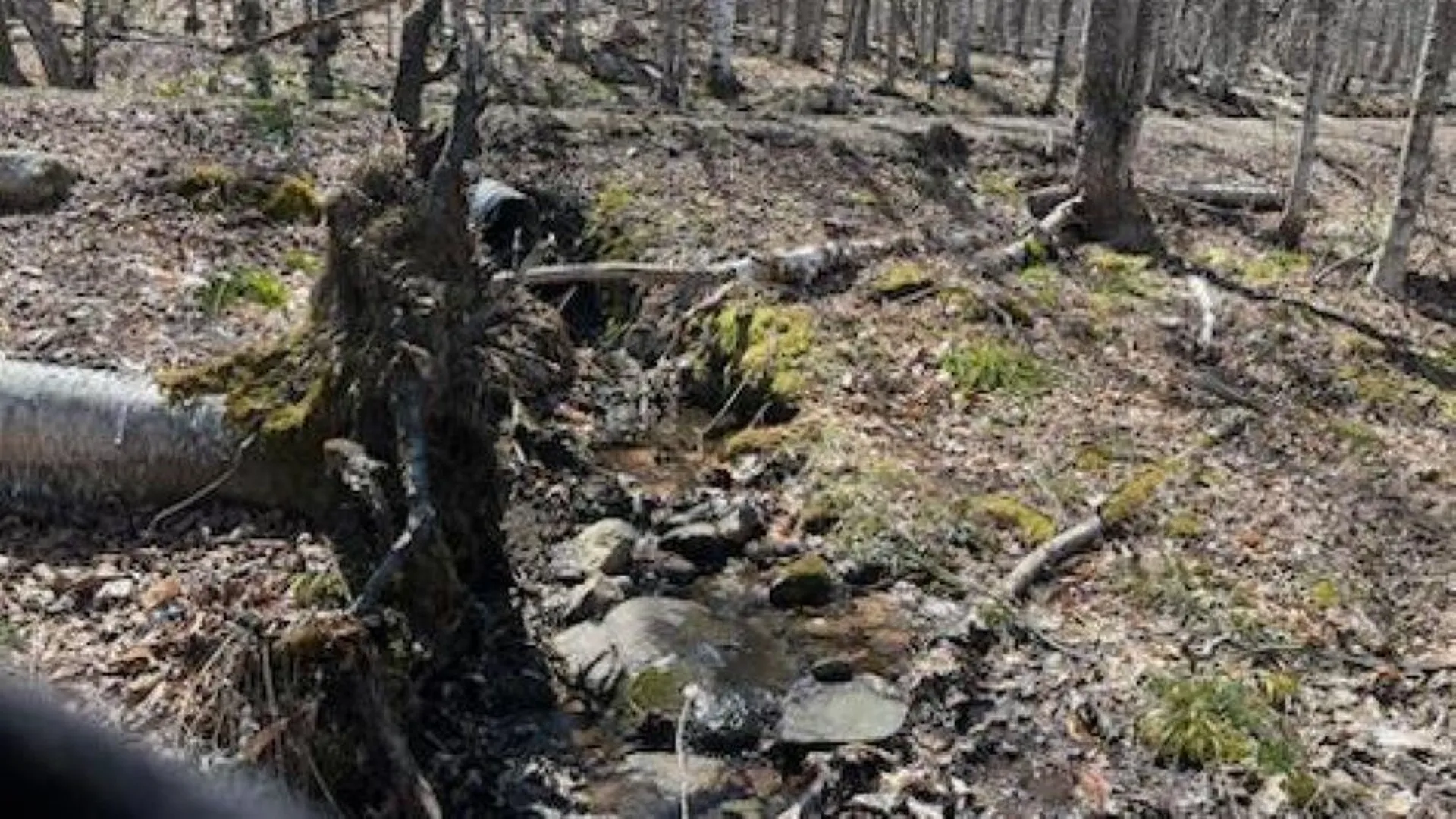 1376 Kingdom Road Plymouth VT 05056