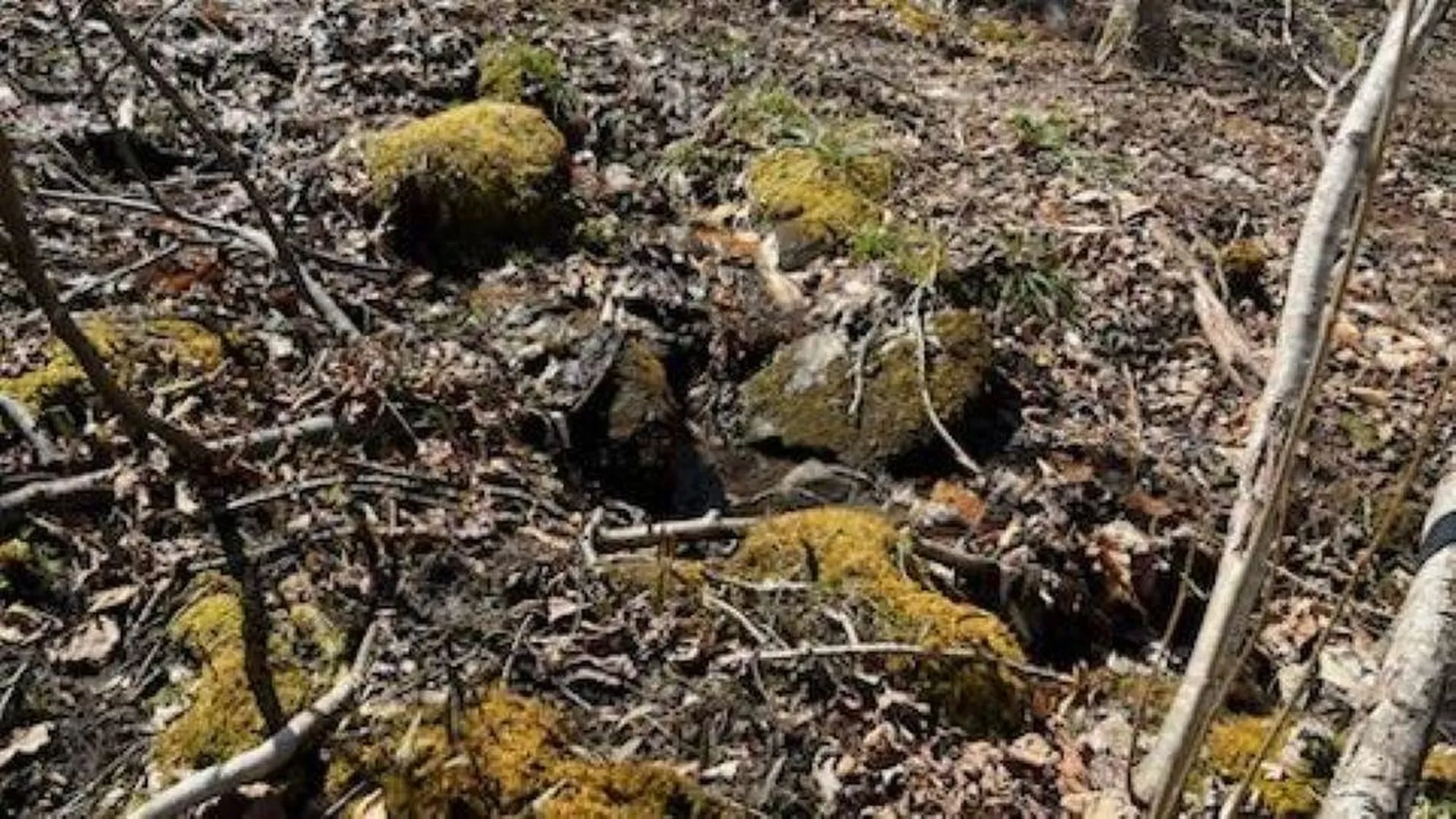 1376 Kingdom Road Plymouth VT 05056