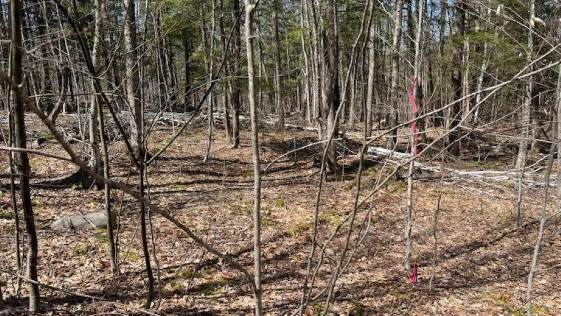 1376 Kingdom Road Plymouth VT 05056