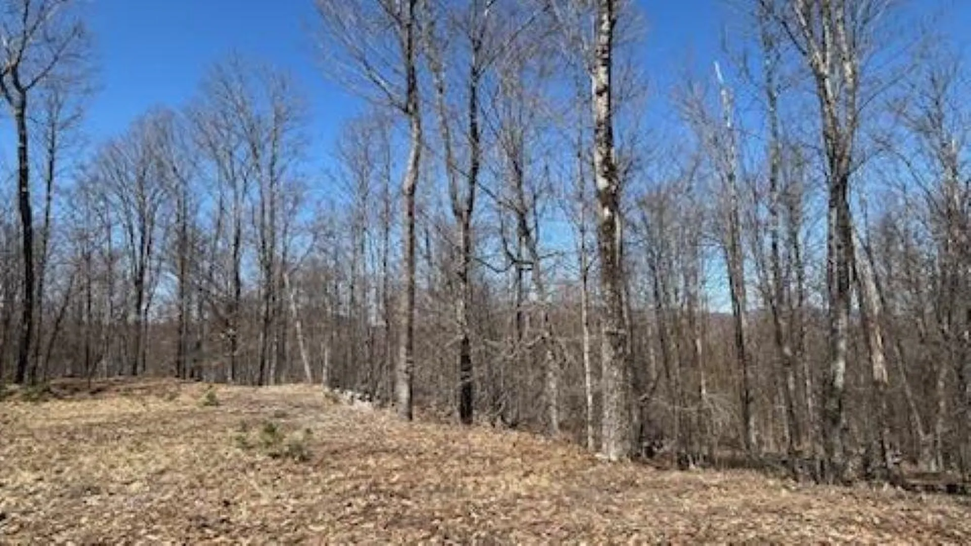 1376 Kingdom Road Plymouth VT 05056