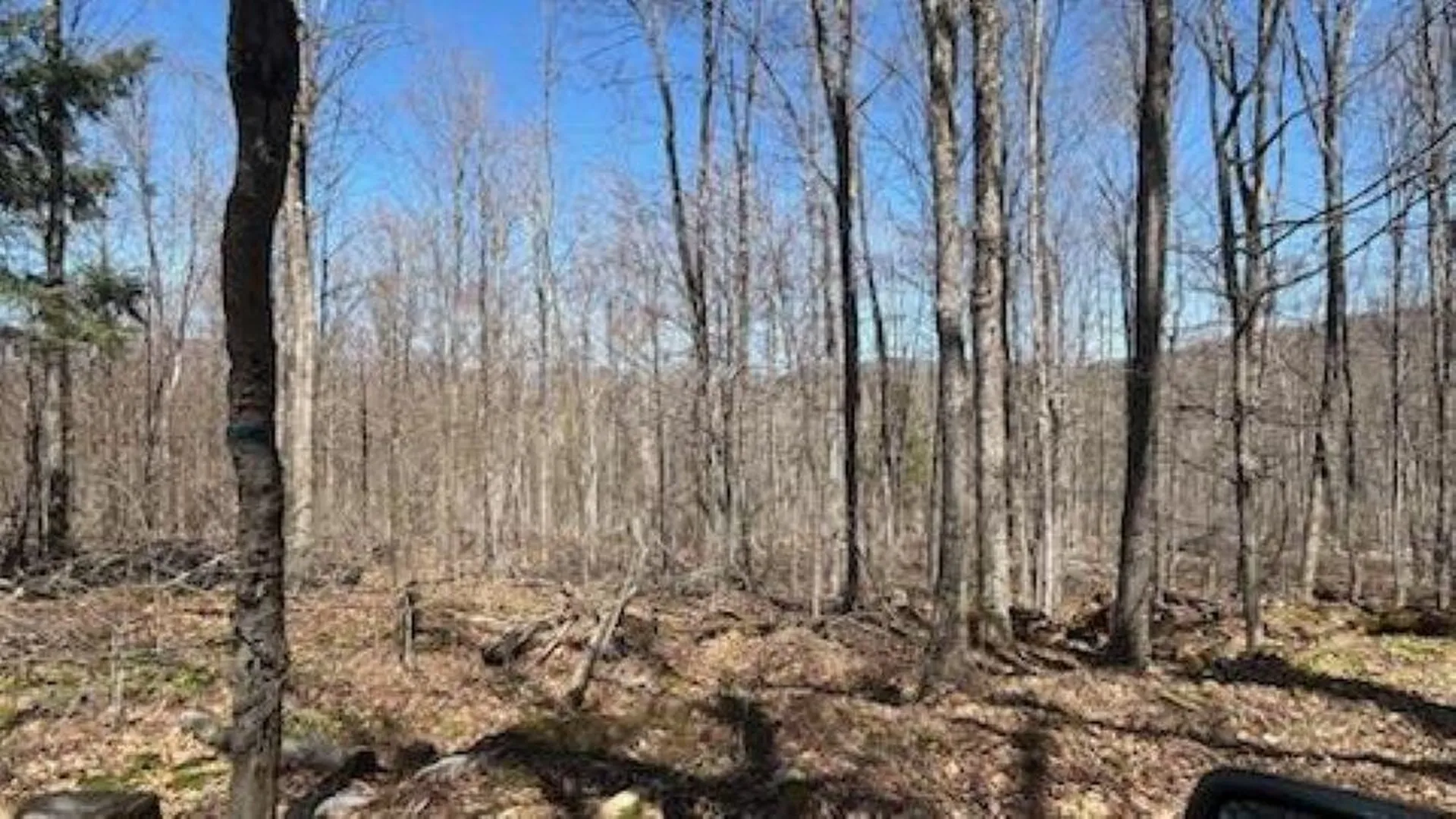 1376 Kingdom Road Plymouth VT 05056