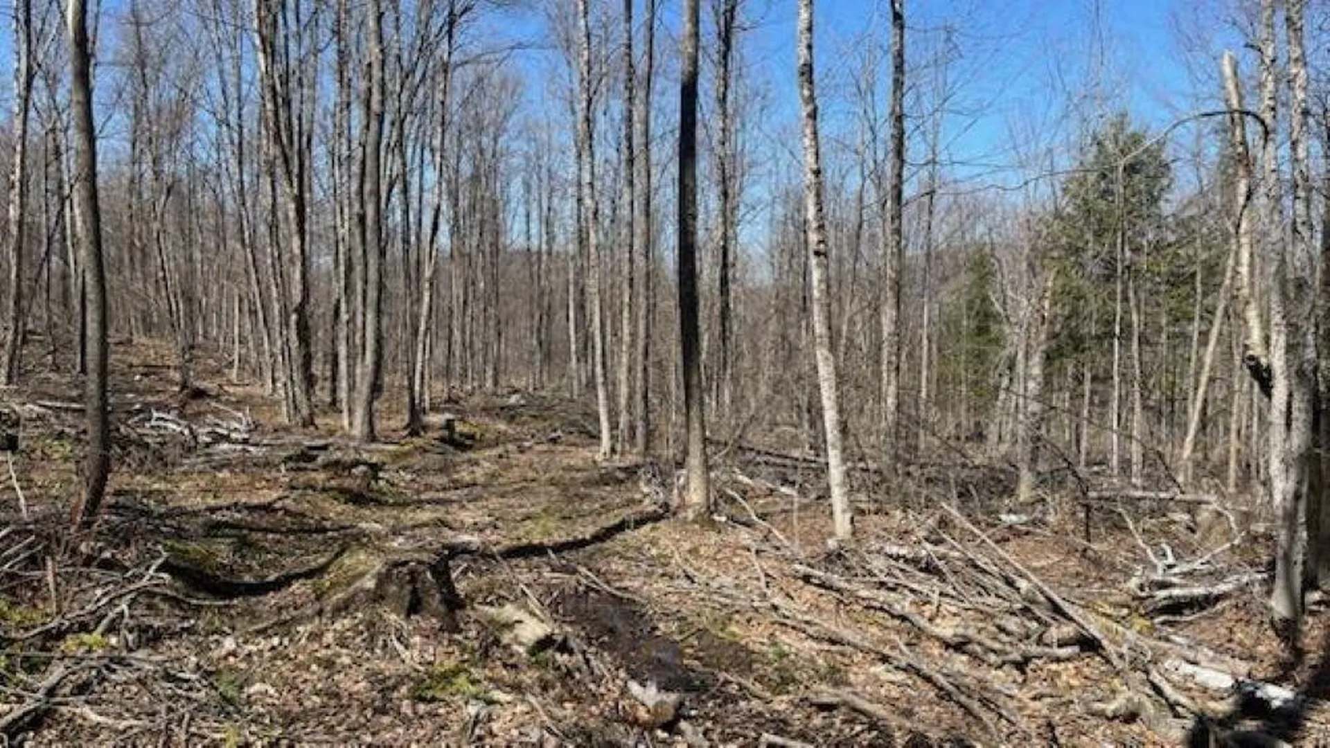 1376 Kingdom Road Plymouth VT 05056