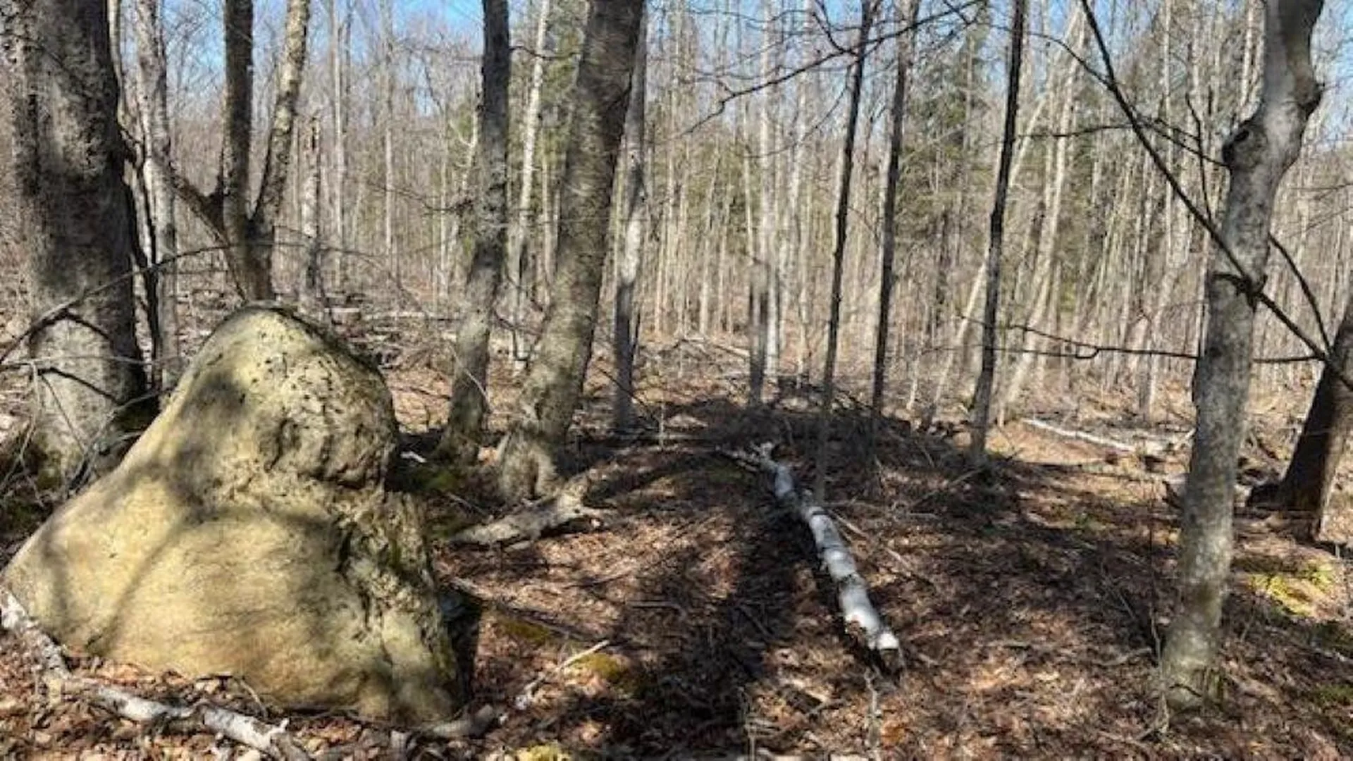 1376 Kingdom Road Plymouth VT 05056