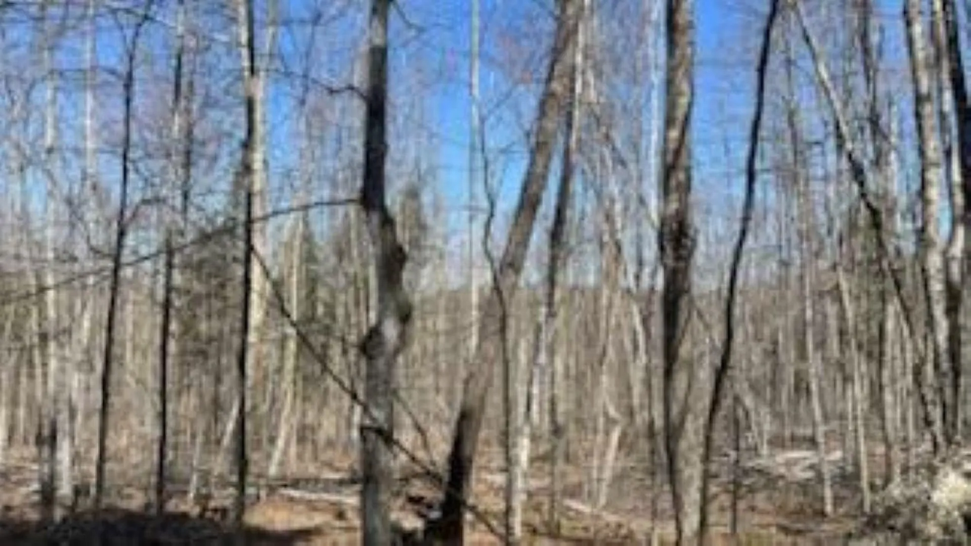 1376 Kingdom Road Plymouth VT 05056