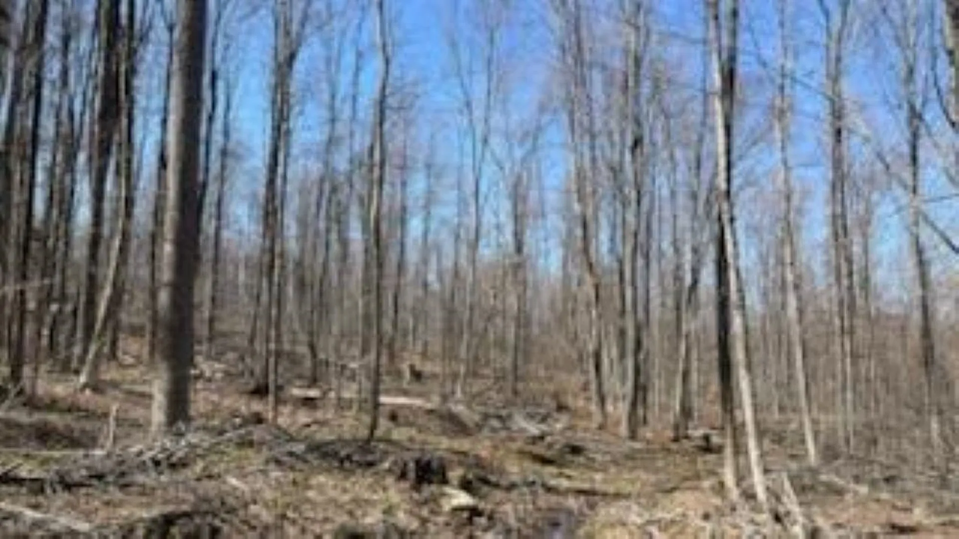 1376 Kingdom Road Plymouth VT 05056