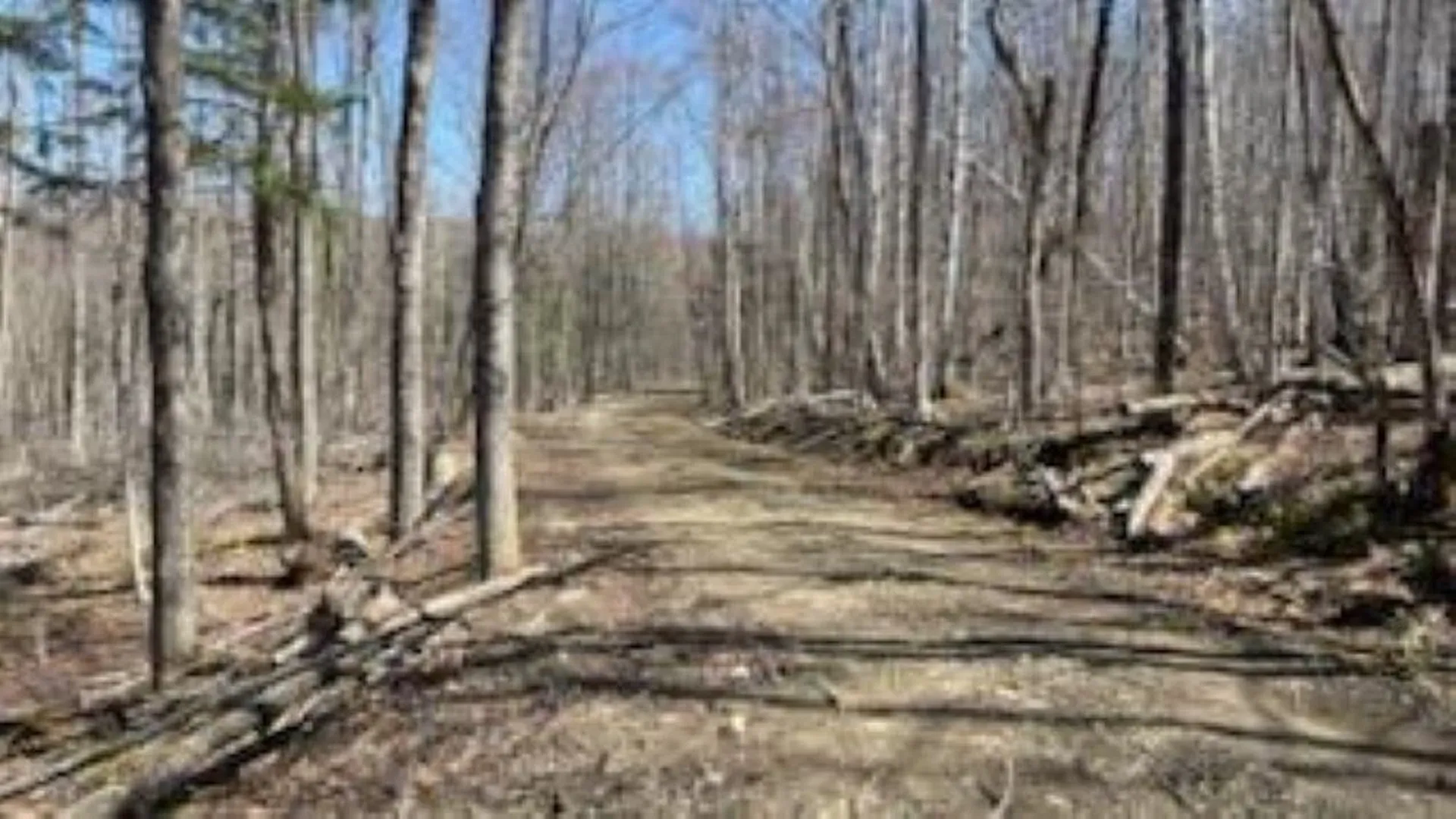 1376 Kingdom Road Plymouth VT 05056