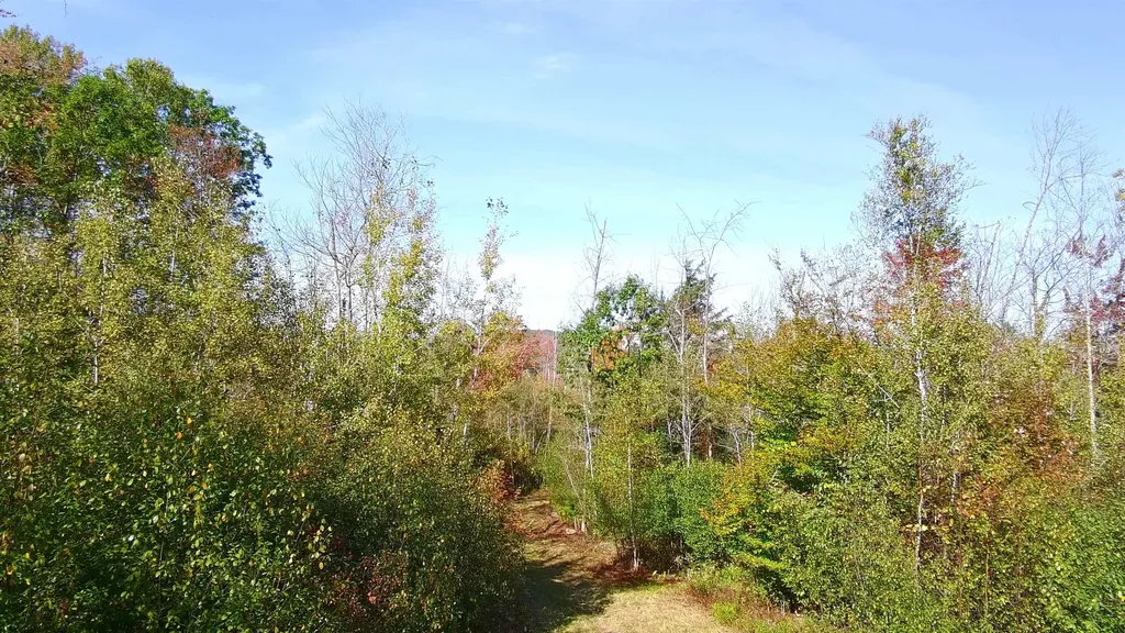 428 Maple Street Newport NH 03773