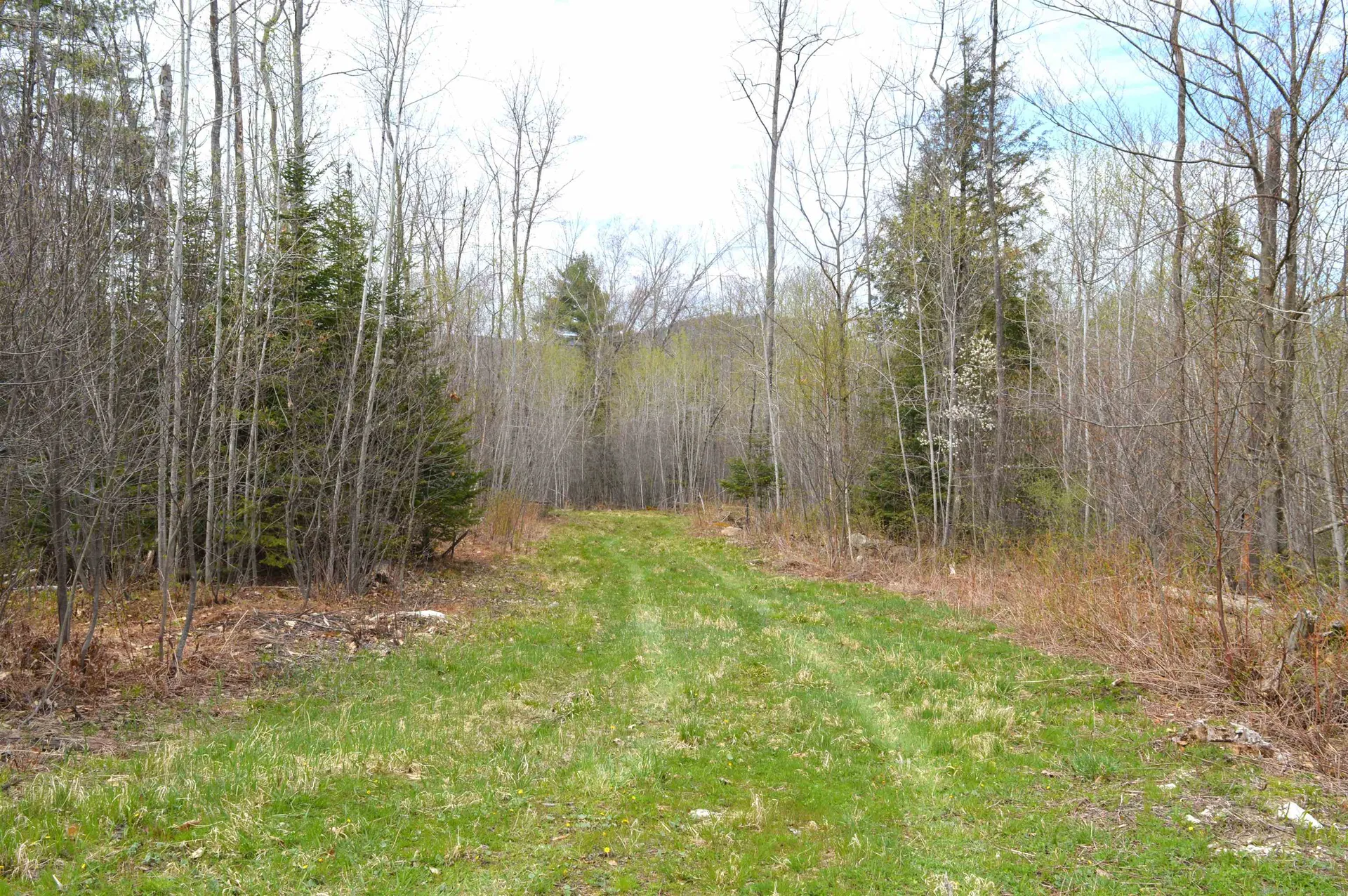 428 Maple Street Newport NH 03773