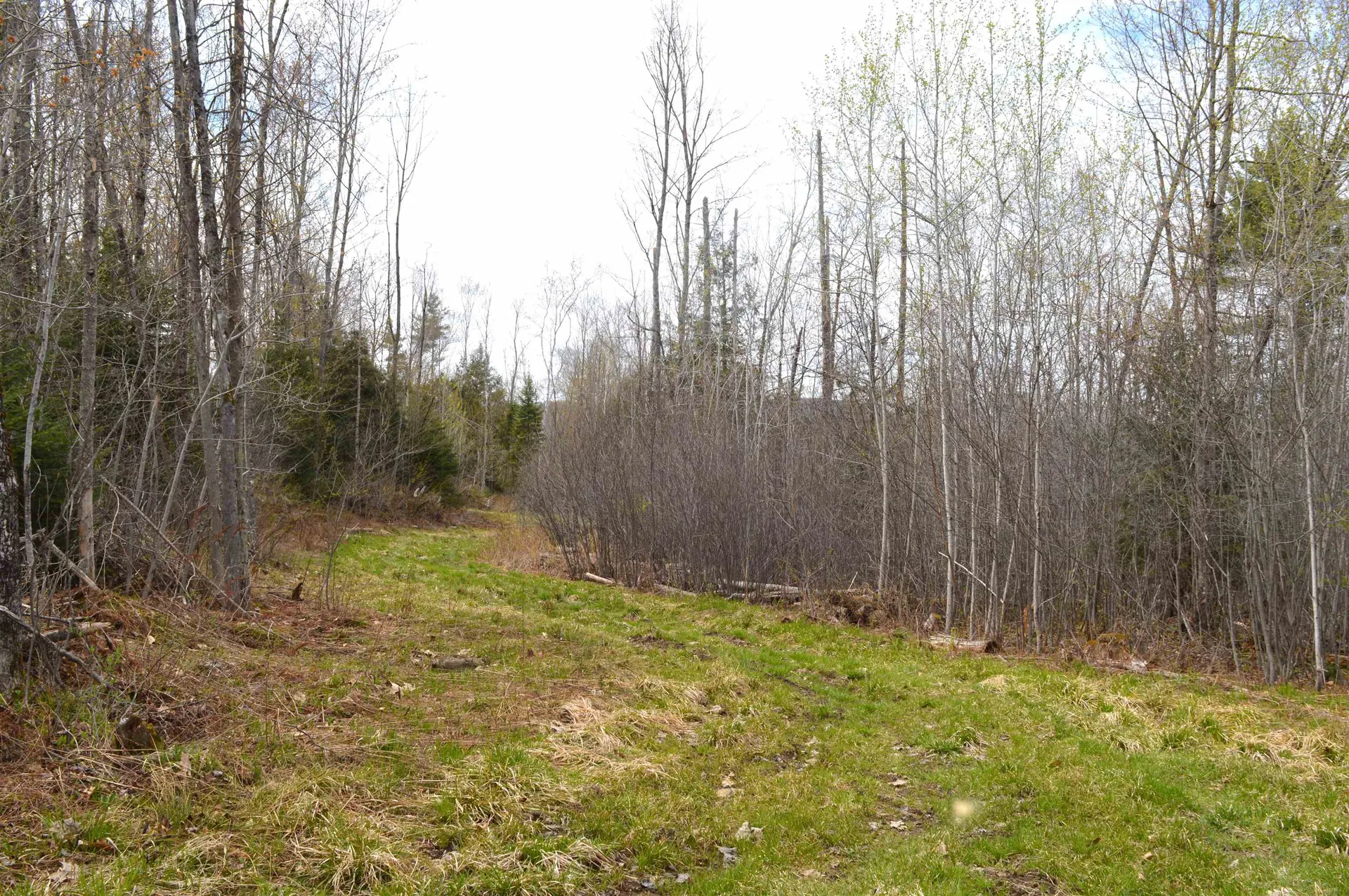 428 Maple Street Newport NH 03773