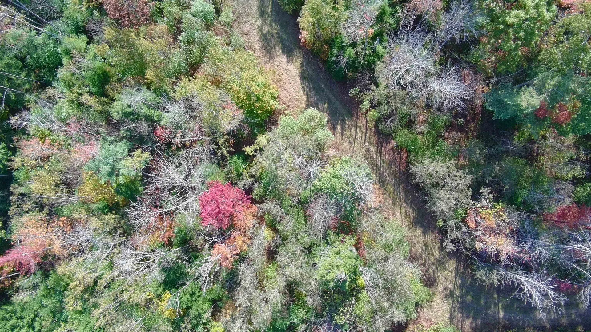 428 Maple Street Newport NH 03773