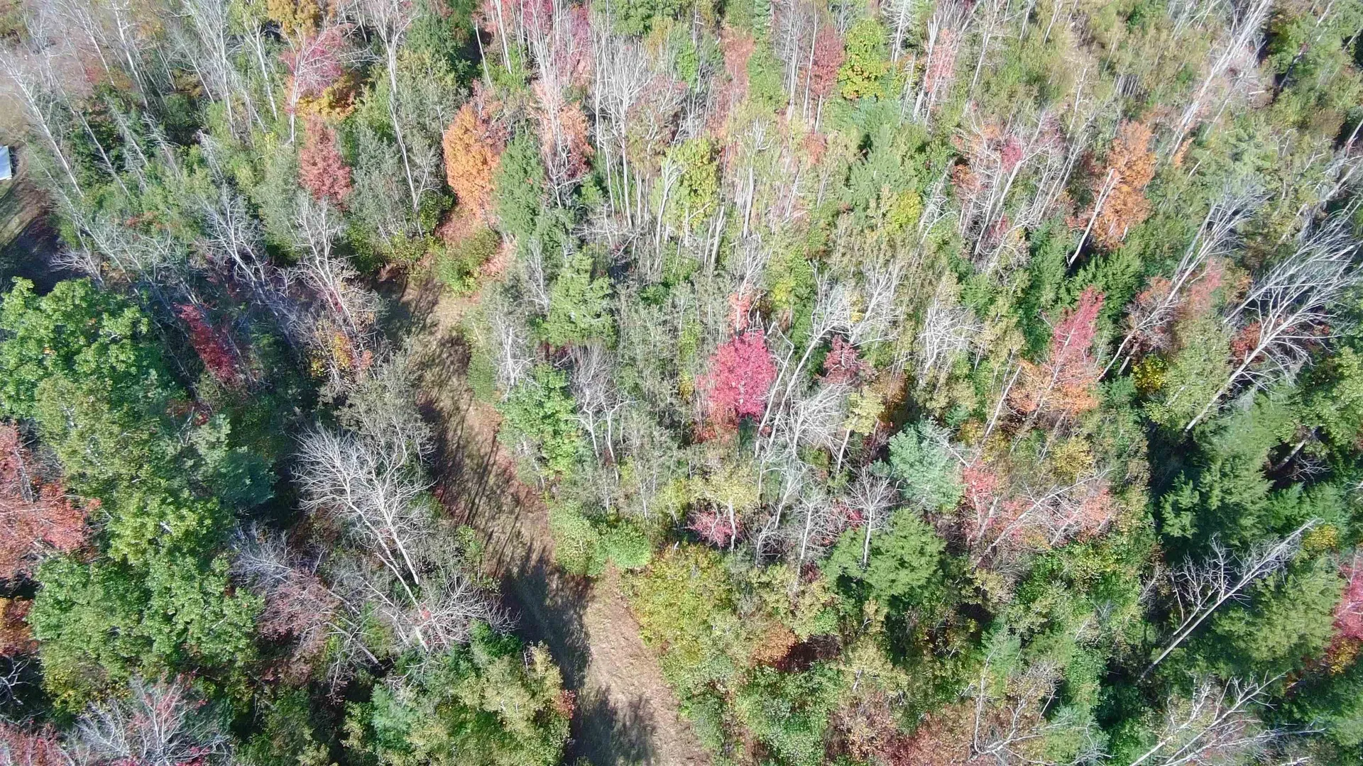 428 Maple Street Newport NH 03773