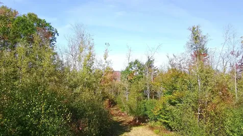 428 Maple Street Newport NH 03773