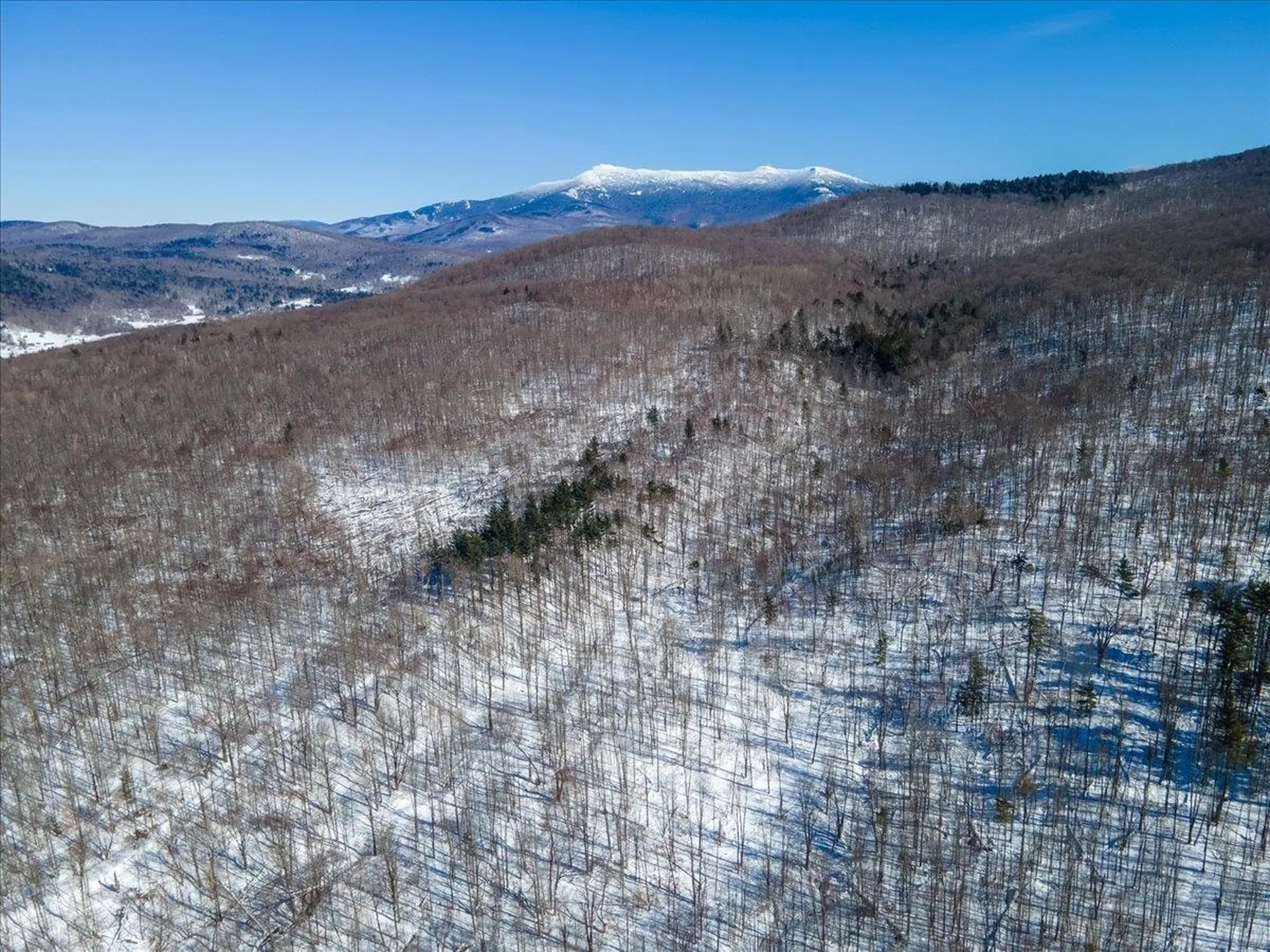 296 & 298 Vt Route 15 Jericho VT 05465-0000