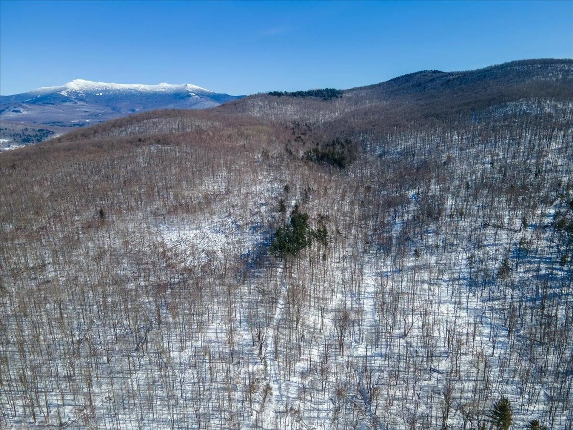 296 & 298 Vt Route 15 Jericho VT 05465-0000