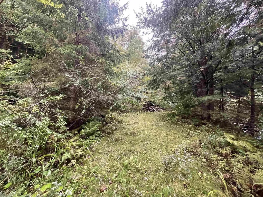 667 Hinkley Brook Road Grafton VT 05146