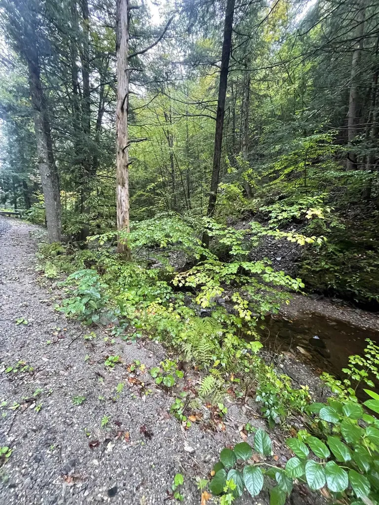 667 Hinkley Brook Road Grafton VT 05146