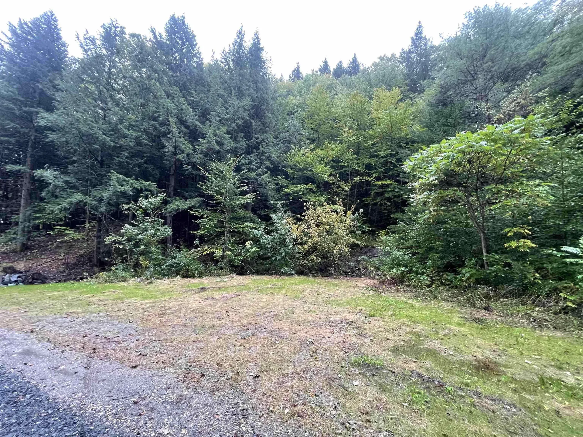 667 Hinkley Brook Road Grafton VT 05146