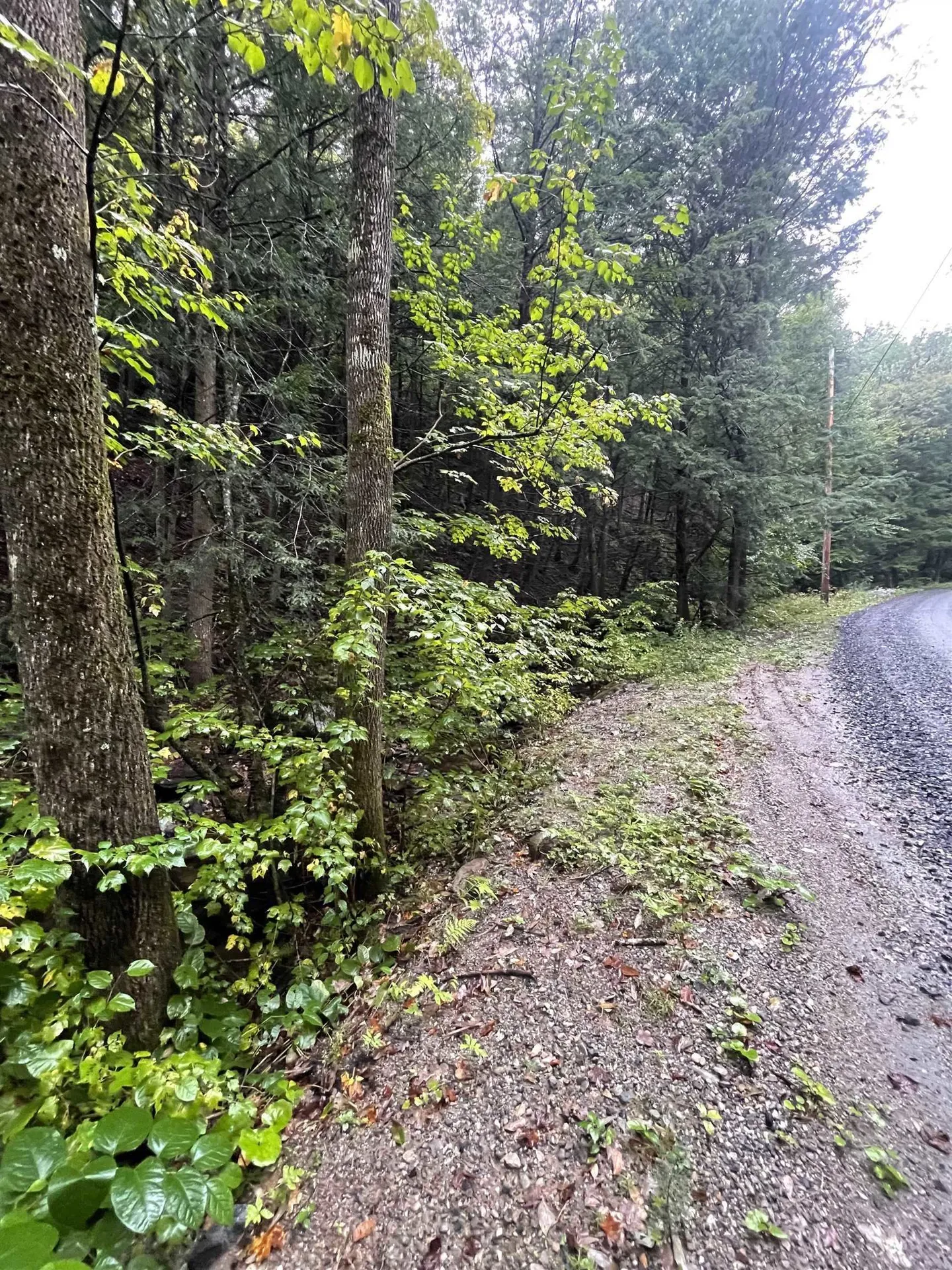 667 Hinkley Brook Road Grafton VT 05146