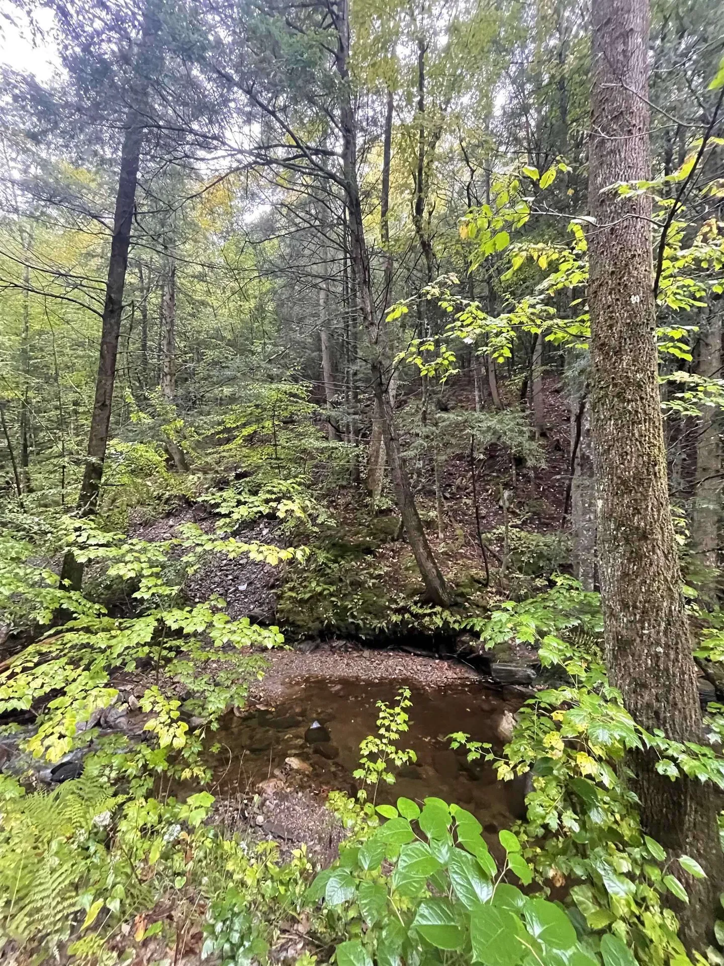 667 Hinkley Brook Road Grafton VT 05146