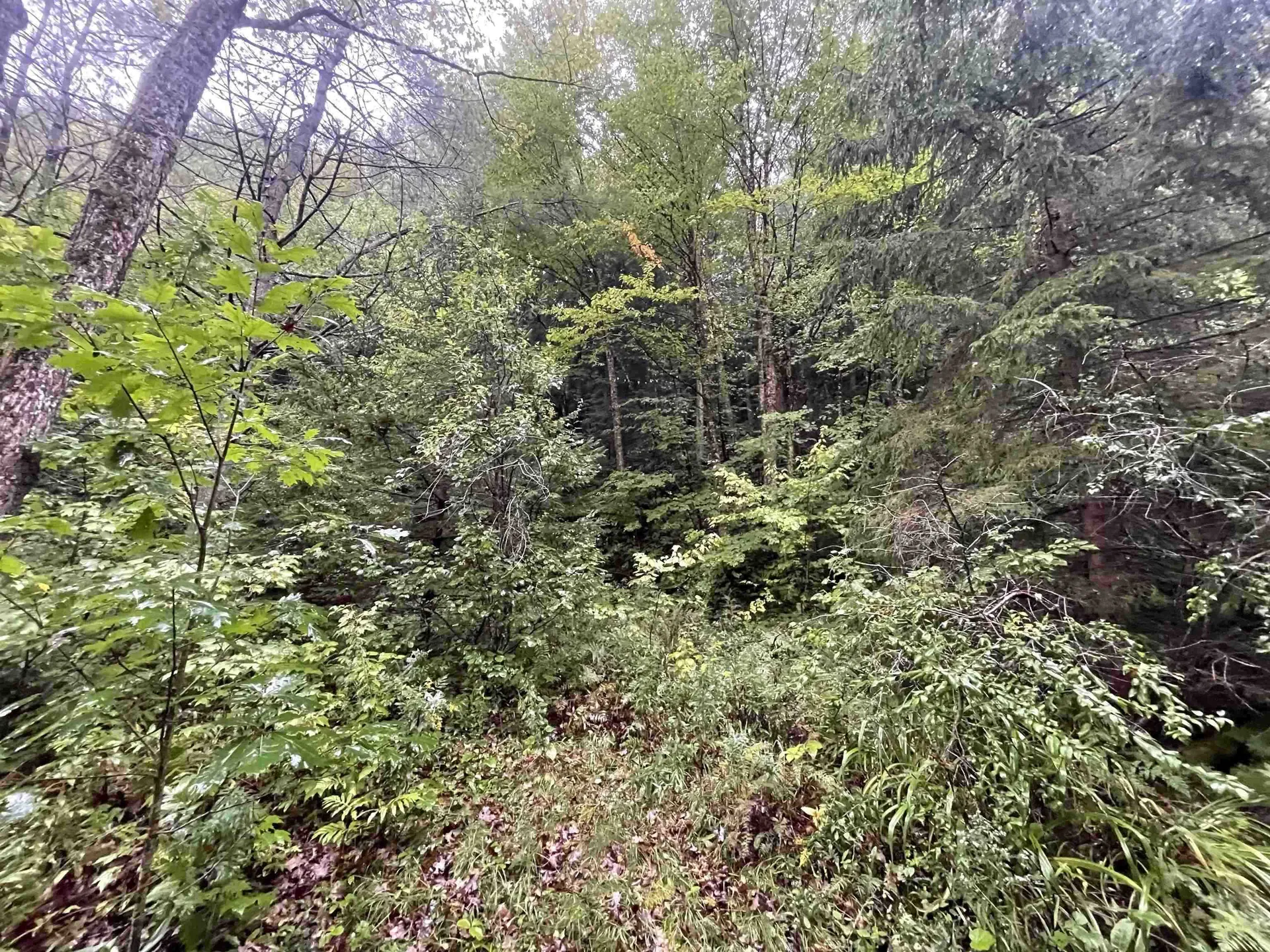 667 Hinkley Brook Road Grafton VT 05146