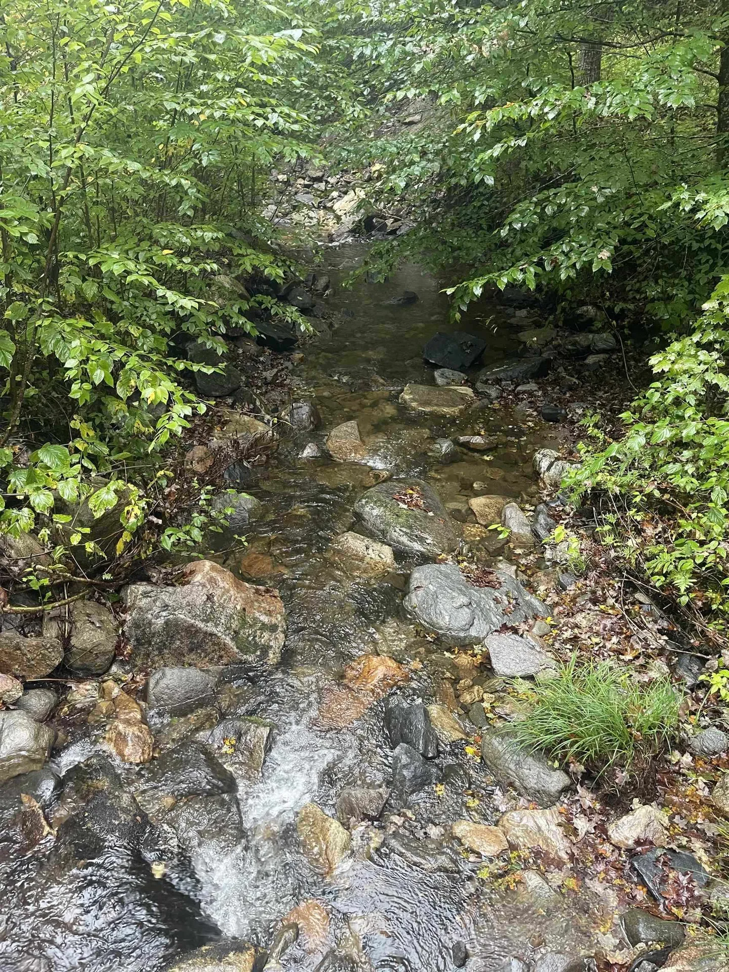 667 Hinkley Brook Road Grafton VT 05146