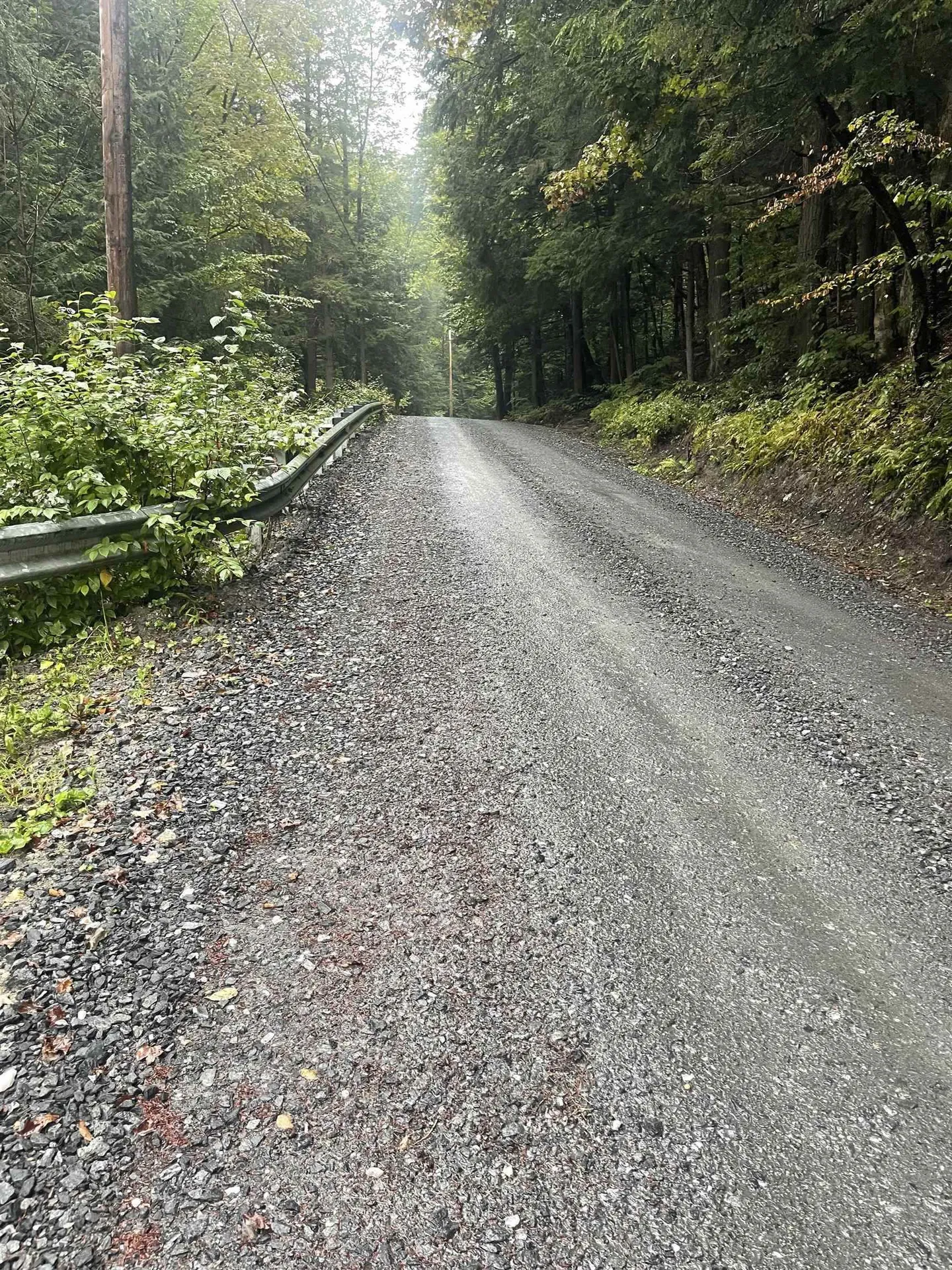 667 Hinkley Brook Road Grafton VT 05146