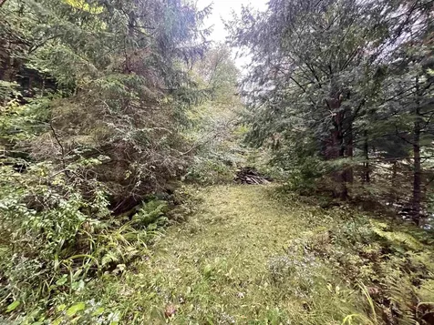 667 Hinkley Brook Road Grafton VT 05146