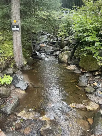 667 Hinkley Brook Road Grafton VT 05146