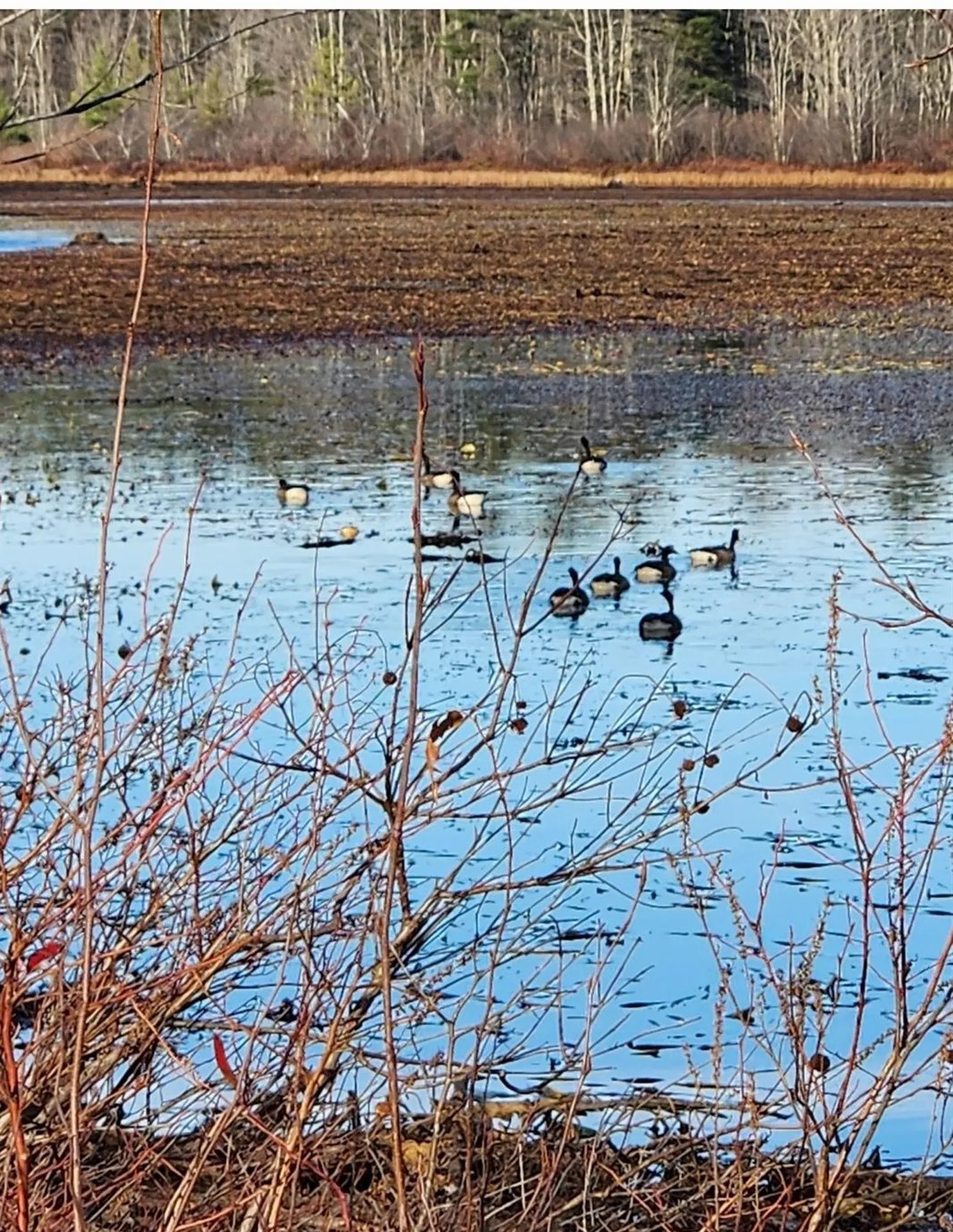 20 Emerson Lane Rindge NH 03461