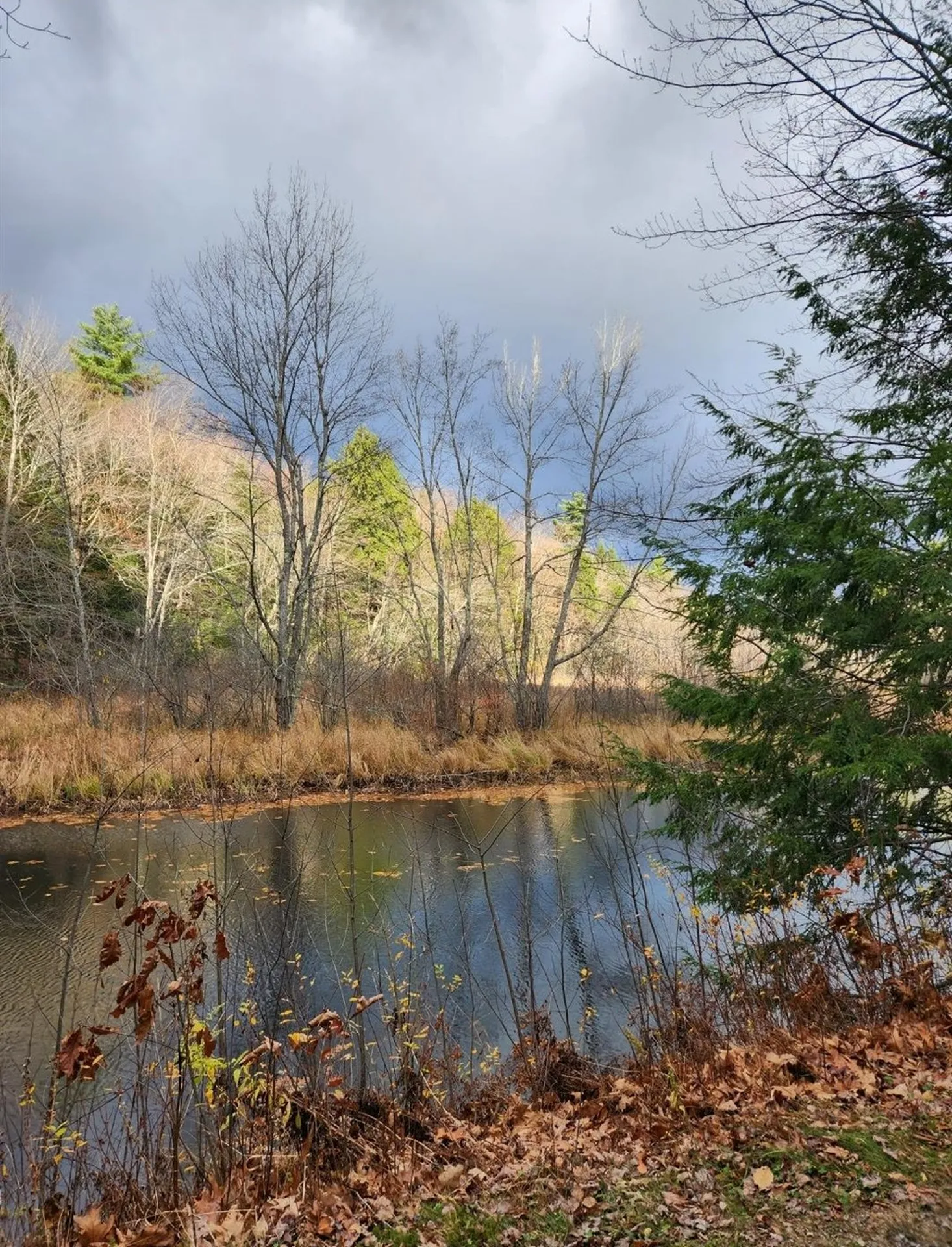 20 Emerson Lane Rindge NH 03461