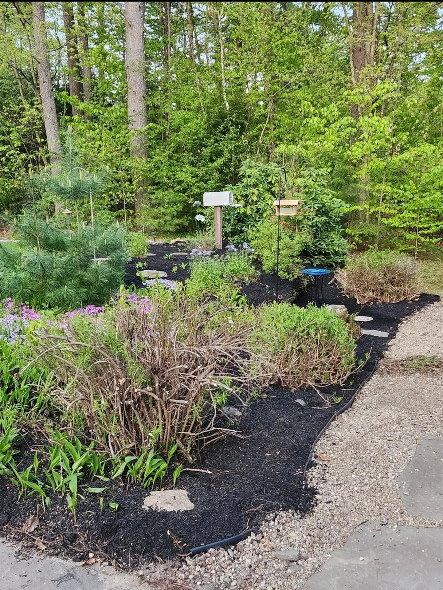 20 Emerson Lane Rindge NH 03461