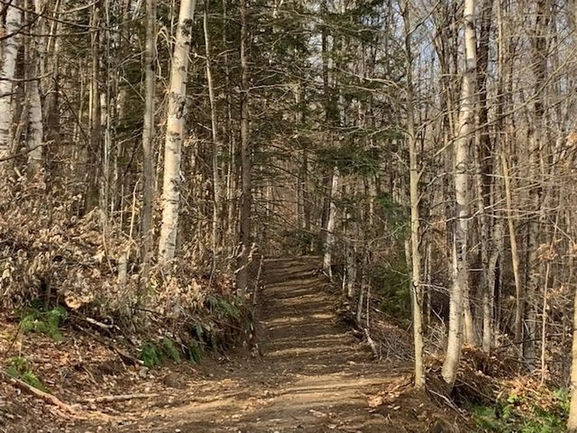 0 Stage Road Pomfret VT 05053