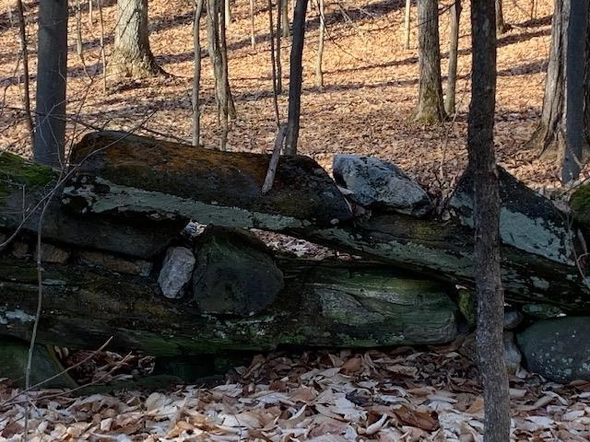 0 Stage Road Pomfret VT 05053