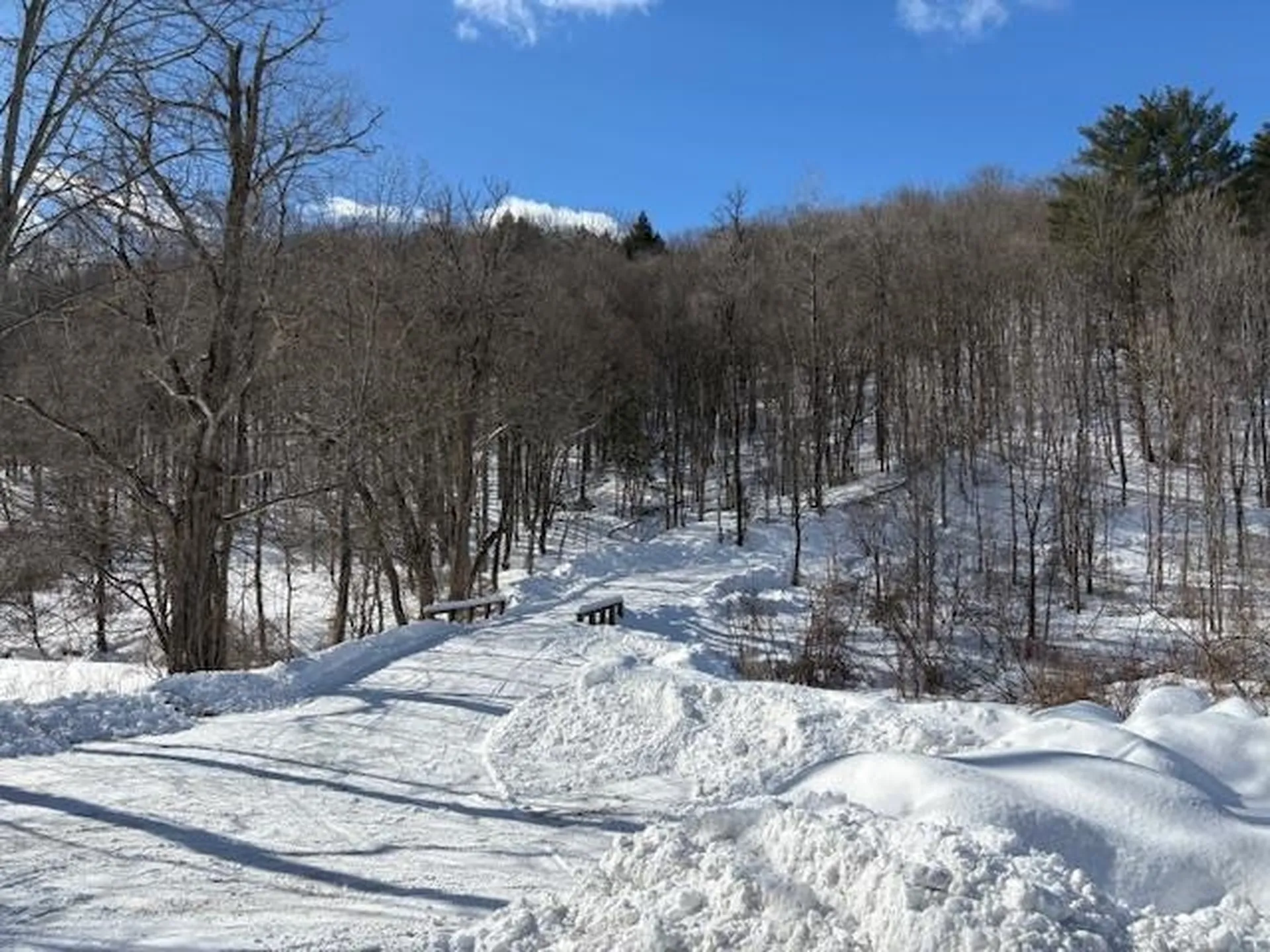 0 Stage Road Pomfret VT 05053