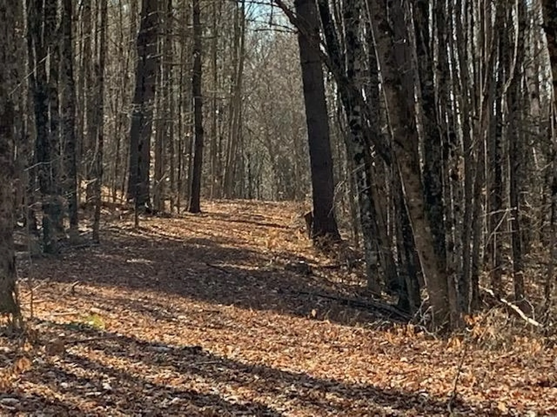 0 Stage Road Pomfret VT 05053