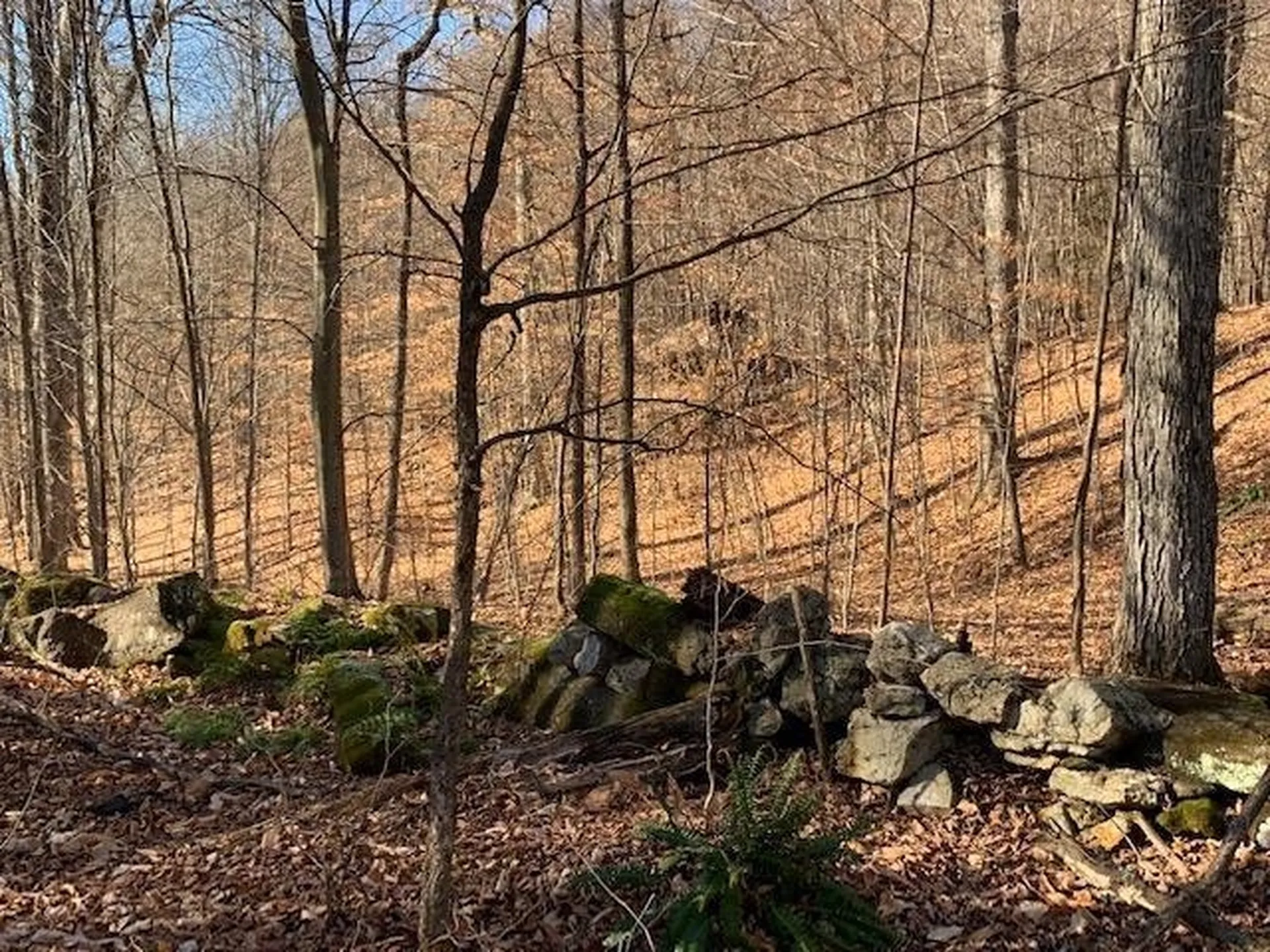 0 Stage Road Pomfret VT 05053