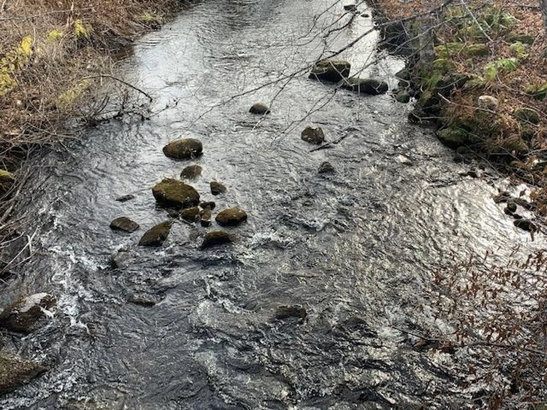 0 Stage Road Pomfret VT 05053