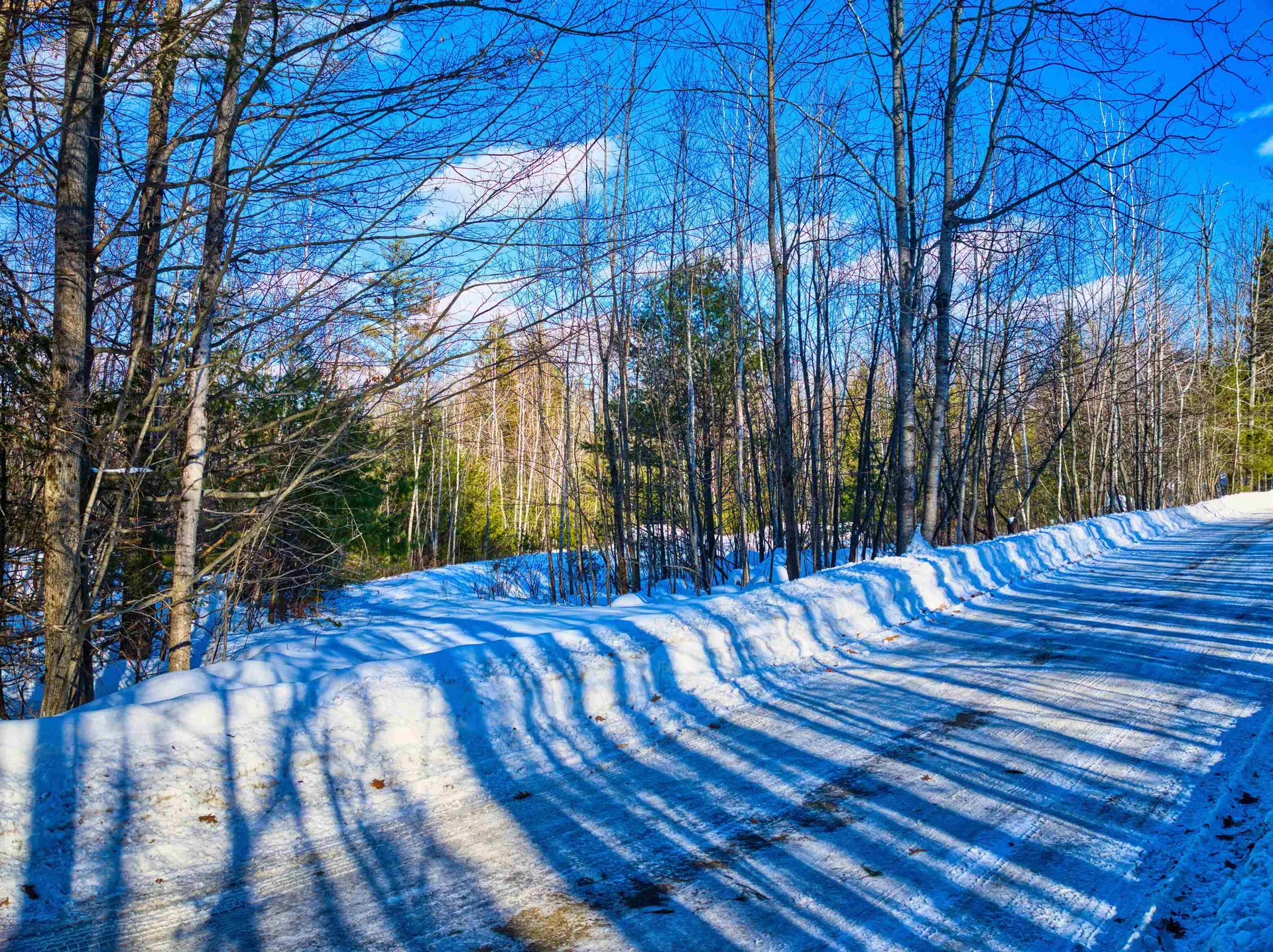 Sunshine Avenue Newport NH 03773