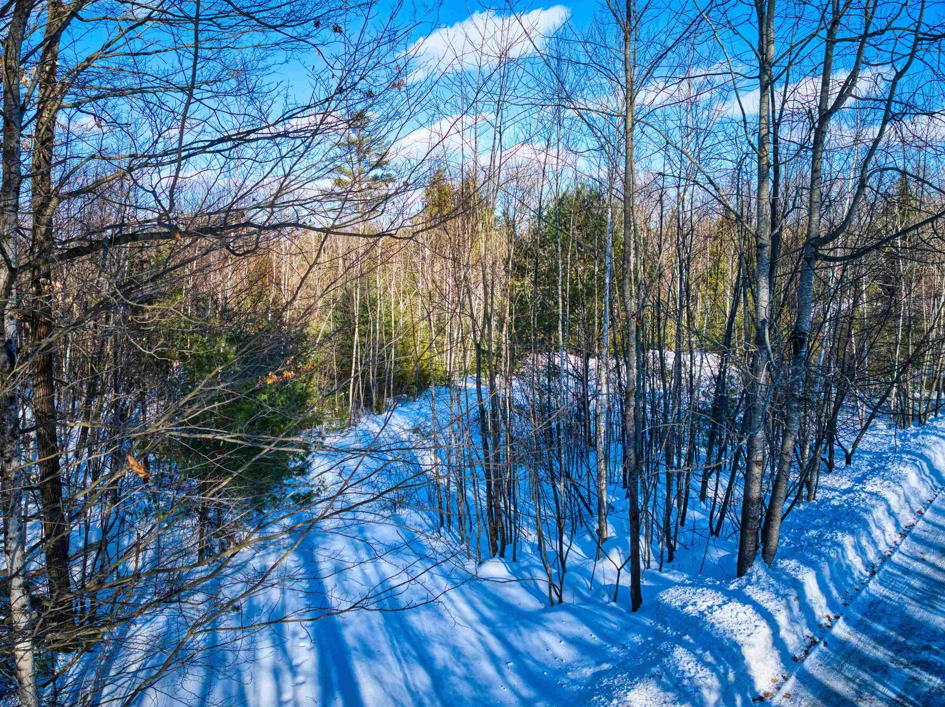 Sunshine Avenue Newport NH 03773