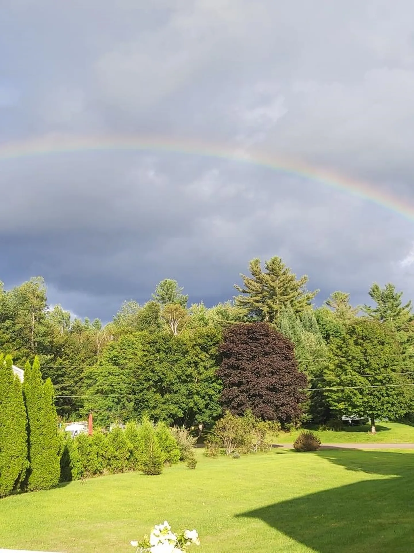 59 Griswold Street Jericho VT 05465